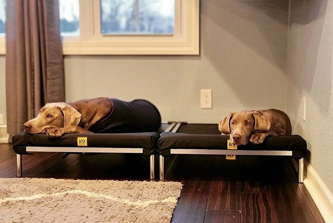 Tough Ripstop™ Pillow Headrest for Elevated Dog Beds